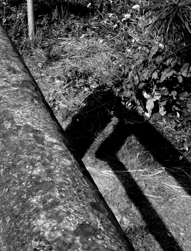 Gate shadow