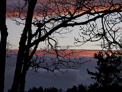 STRAIT OF JUAN DE FUCA