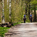 Ein Ausritt ins Grüne - A ride into the woods - Tag des Baumes