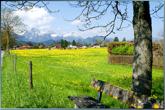 Frühling, Primavera. ©UdoSm