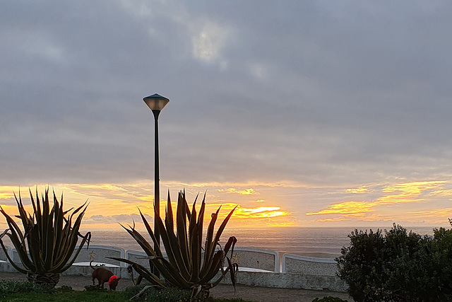 Ericeira, Portugal