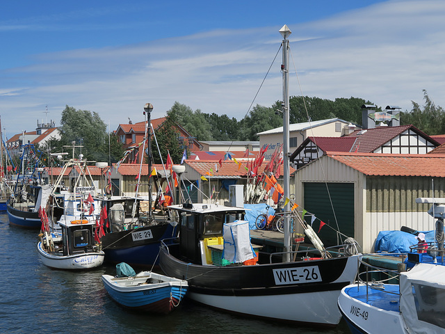 Greifswald, Fischerfest