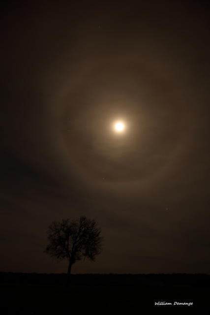 Halo lunaire