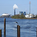 Vattenfalls Kohlekraftwerk Moorburg