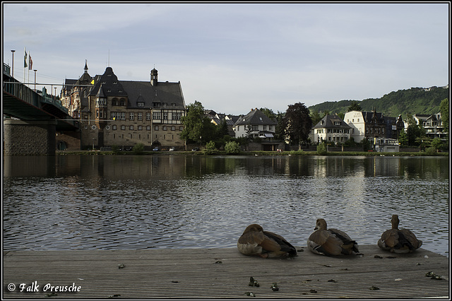 Rast an der Mosel