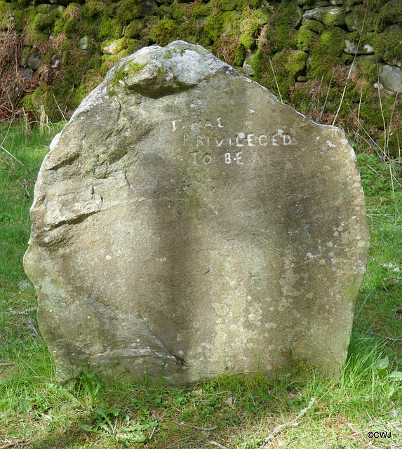 At the Frank Bruce Sculpture Trail, Feshie.