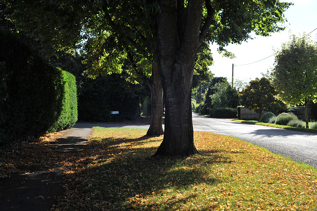 Church Road