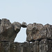 Iceland, Thingvellir National Park, The Top of the Wall