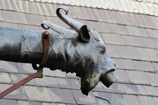 cardiff castle (13)