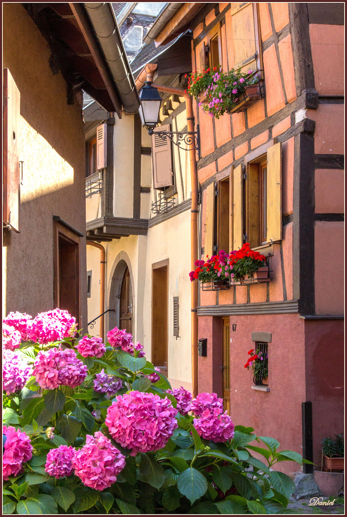 Eguisheim