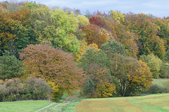 Herbstfarben