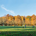 Festwiese im Chemnitzer Küchwald