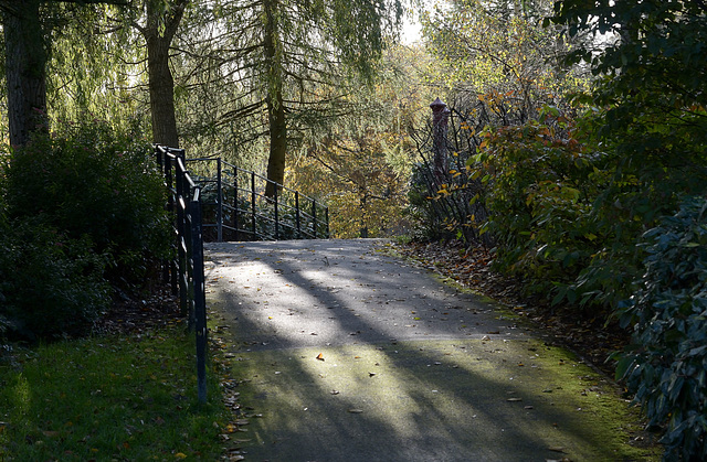 A walk in the park to finish the year.