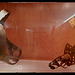 Chastity belts from Middle Ages