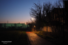 andrea franchi photography cercatore sogni bicycle path bike pista ciclabile sera periferia parma andrea franchi photography cercatore sogni bicycle path bike pista ciclabile sera periferia parma