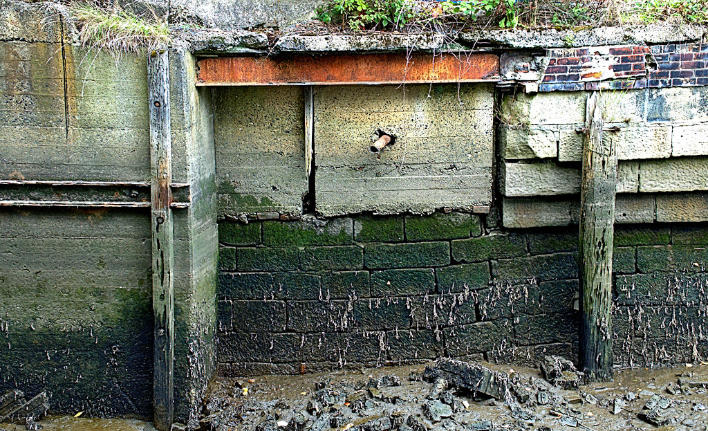 Tide Marks On The Way Down To Willington Gut. N.Tyneside
