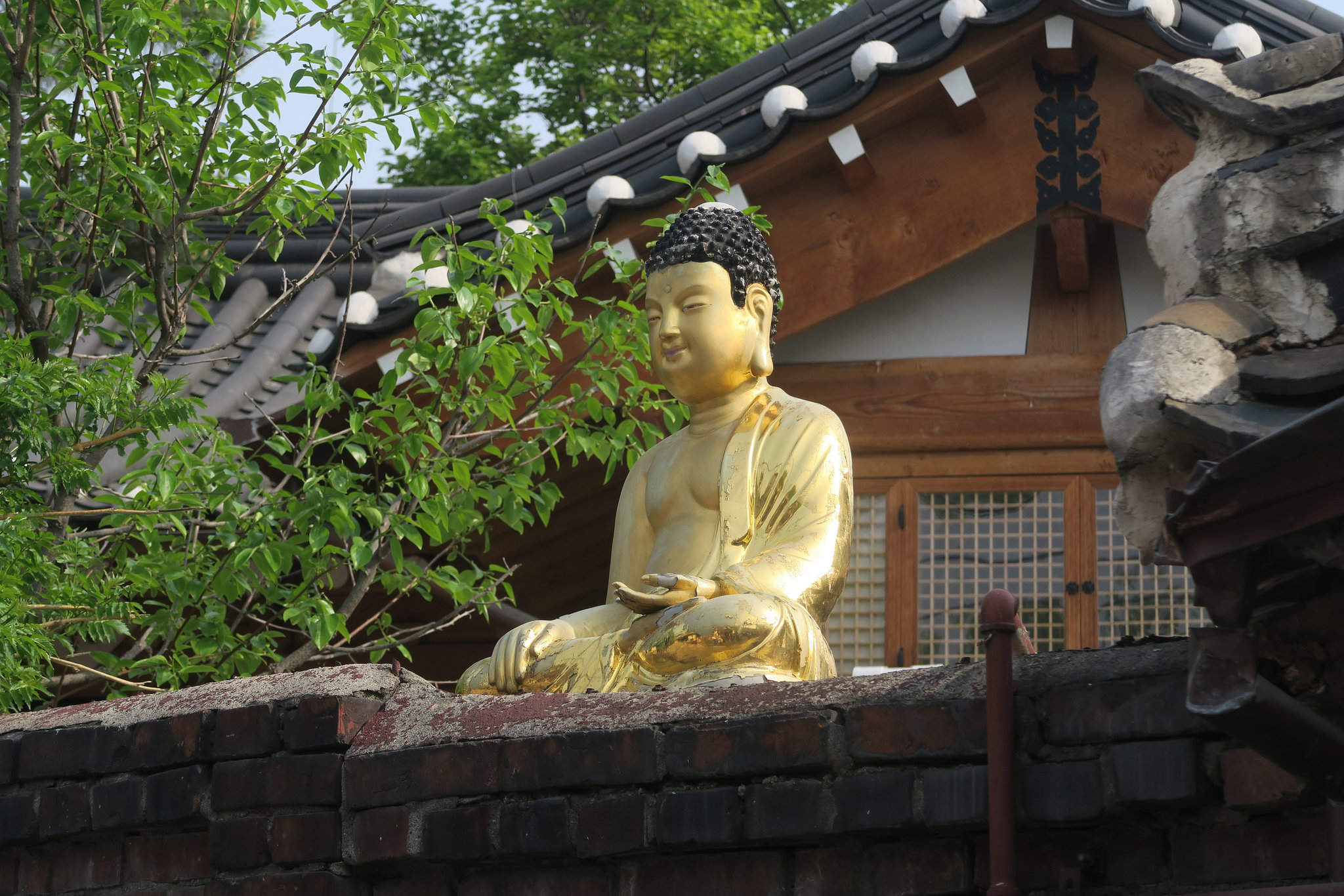 Jardin d'une maison particulière, Bukchon Hanok village, Séoul (Corée du Sud)