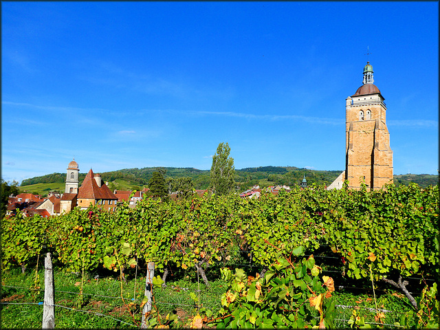 Arbois (39) 30 septembre 2019.