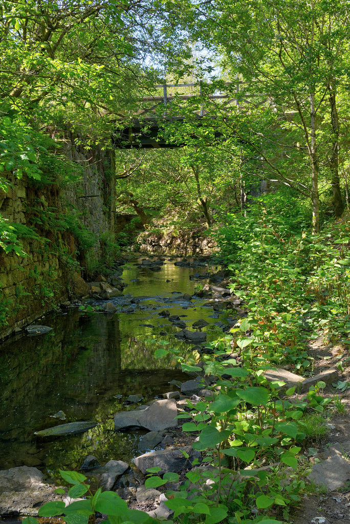 Visions of Park Bridge: The old railway bridge