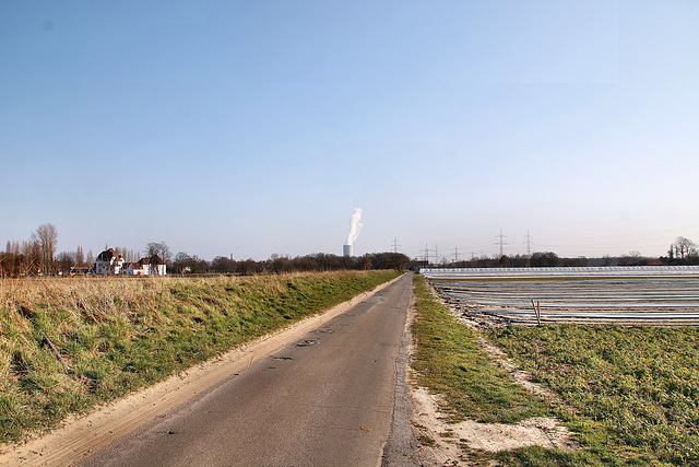 Feldweg bei Holthausen (Waltrop) / 5.03.2022