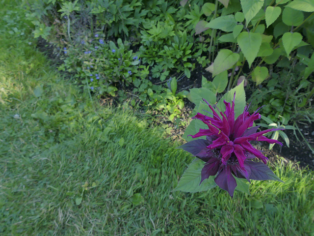 photo no.20