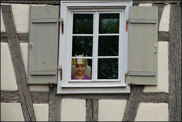 Weltfotografietag: Königstochter