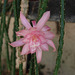 P6027759