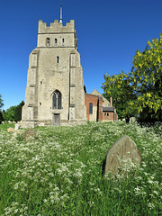 ashdon church, essex c14