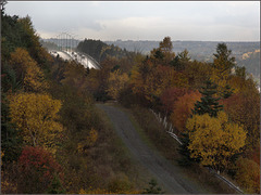 The view from Luke's Brook