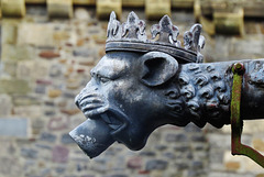 cardiff castle (19)