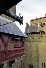 cardiff castle (15)