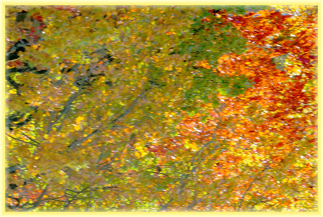 Mosaïque d'Automne.