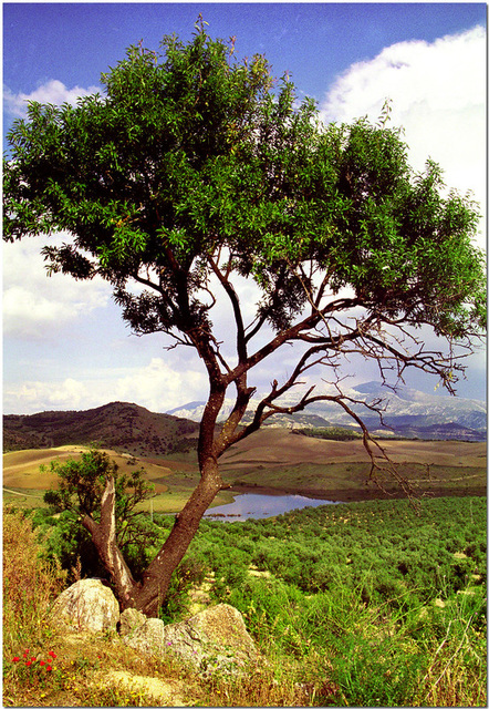 Andalucia