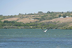 takeoff at Blackstrap Lake