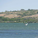 takeoff at Blackstrap Lake