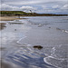 The Beach at Alnmouth
