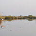 DSC 0531