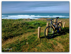 #35 Bicicleta en la playa