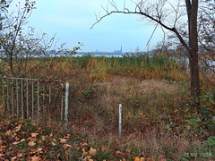 Happy November Fence Friday !