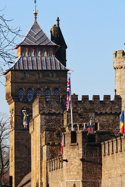 cardiff castle (283)