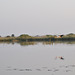 DSC 0523