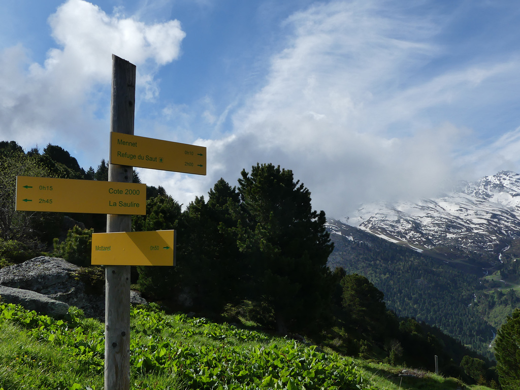 20160611 -18 Rando Meribel Les allues -Jour1 (3)