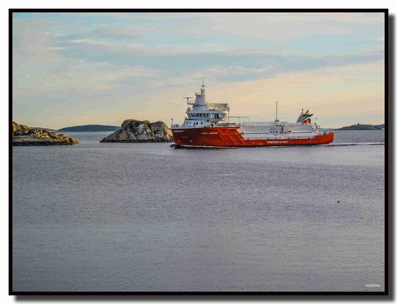 Lofoten