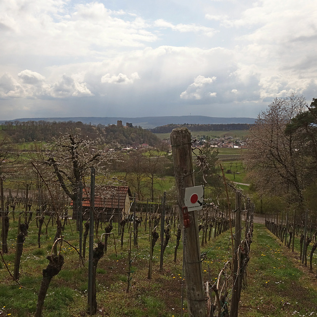 Burg Neipperg