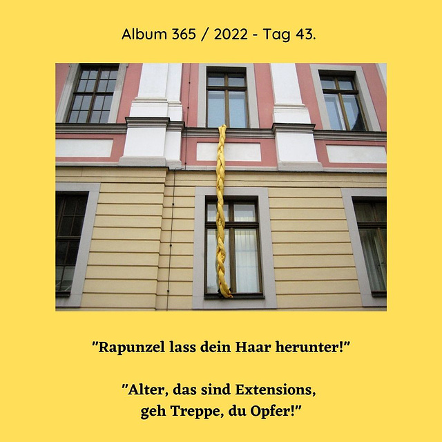 Album 365 / 2022 - Tag 43.