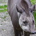 Tierpark Hagenbeck