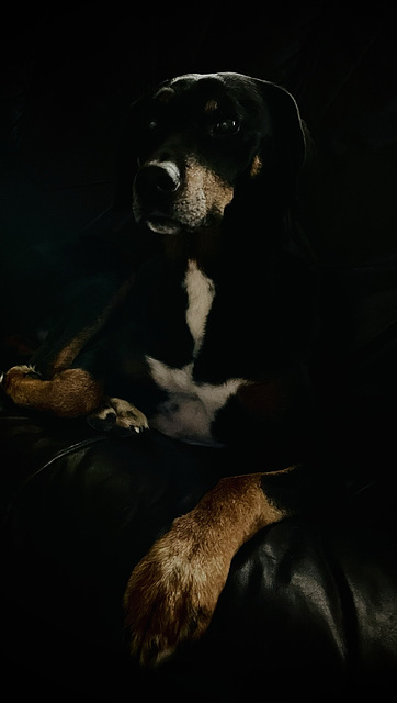 Benny, Familie, Benneckenstein