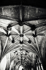 Inside a Gothic Horror place