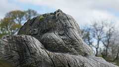 At the Frank Bruce Sculpture Trail, Feshie.