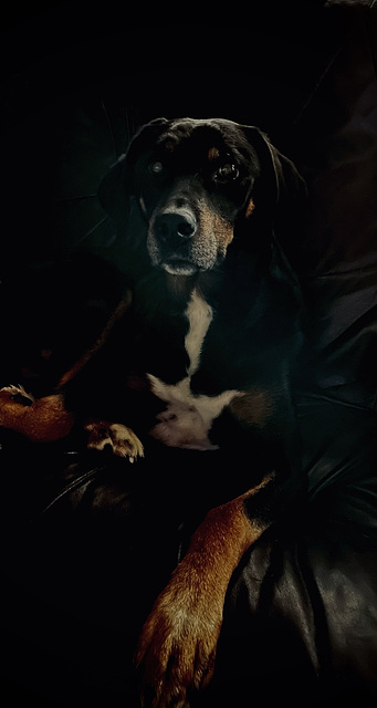 Benny, Familie, Benneckenstein